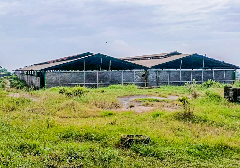 PABRIK DI KAB. PASURUAN NPL601-2 - foto 3